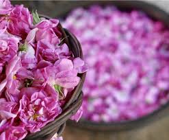 تصویر 2 از گلاب حاج رضا آقایی با عطر طبیعی و کیفیت ممتاز